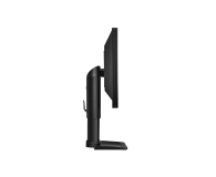 BenQ BL2411PT czarny - 149593 - zdjęcie 3